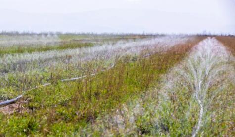 山西萬畝中藥材采用軟體集雨水窖+智能水肥一體化，增產(chǎn)顯著